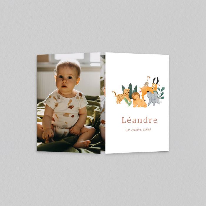 Livre d'or d'anniversaire pour enfant - 1 an: Décoration Savane, Safari et  Jungle - Garçon (French Edition)